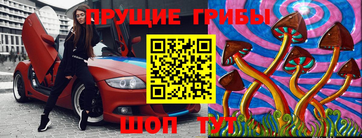 хочу наркоту  Псилоцибиновые грибы мицелий  Галлюциногенные грибы Magic Shrooms  Вход с VPN  Сосновый Бор 