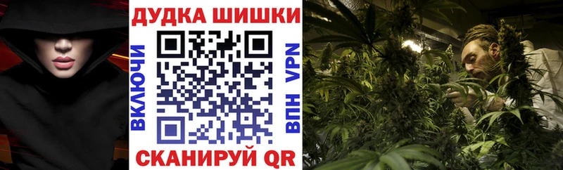 Каннабис конопля  закладки  Сосновый Бор 