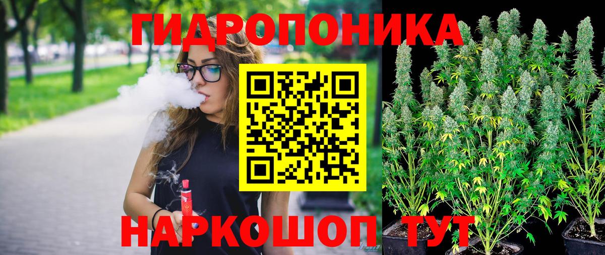 Шишки марихуана THC 21%  Вход с VPN  Конопля Ganja  Сосновый Бор  Бошки Шишки конопля  Бошки марихуана Amnesia 